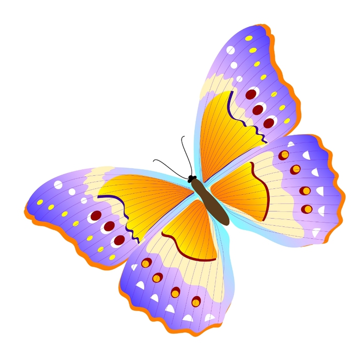 Фото бабочка для детей на прозрачном фоне