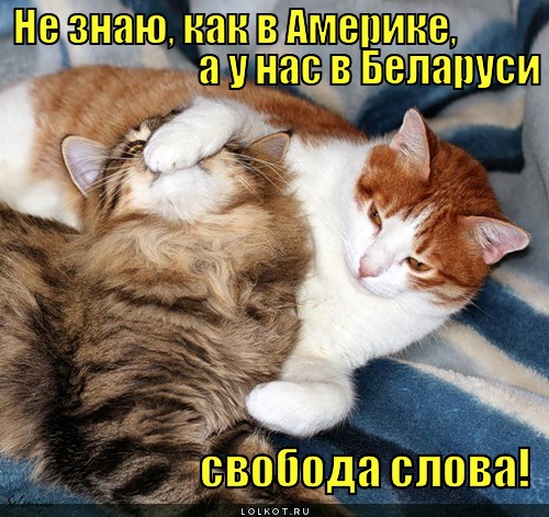 svoboda-slova_1326611172 (500x471, 98Kb)