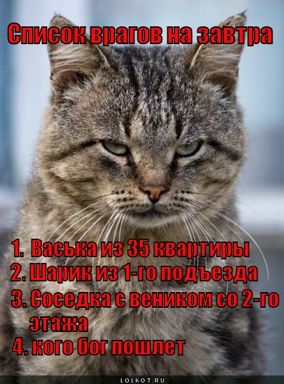 spisok-vragov_1343235324 (399x539, 103Kb)