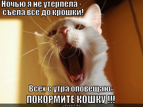 po-utru_1361961029 (500x375, 38Kb)