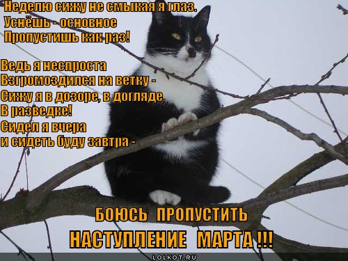 mart-na-nosu_1361960922 (500x375, 74Kb)