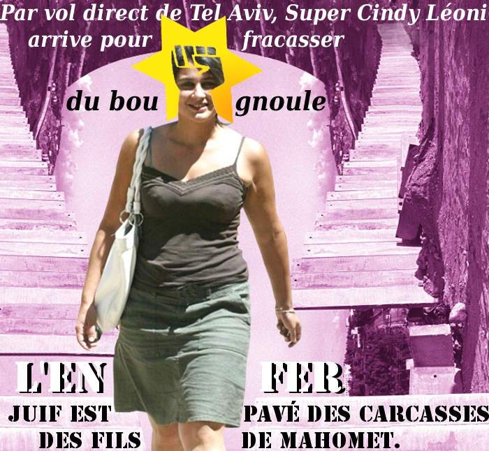L'Israélo-Sénégalaise de SOS Racisme, Cindy Léoni simplifie la tâche des antisémites notoires./5046362_CindyLeoni (700x646, 264Kb)