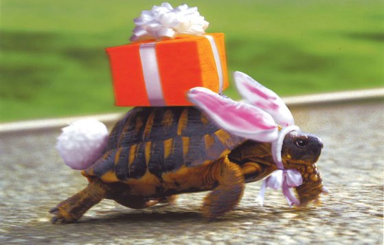 34002777_32081419_present (559x357, 36Kb)