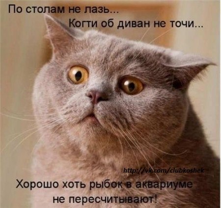 http://img0.liveinternet.ru/images/attach/c/7/97/999/97999282_8K4GGsNOAu0_zps9512da6b.jpg