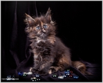  cb99f39e353c (700x562, 204Kb)