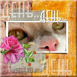   (700x700, 732Kb)