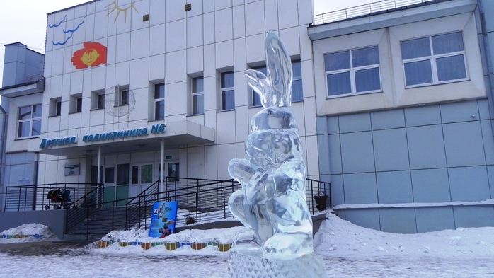 DSCN8717 (700x393, 213Kb)