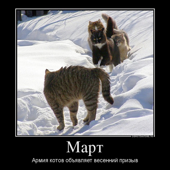 8 (700x698, 134Kb)