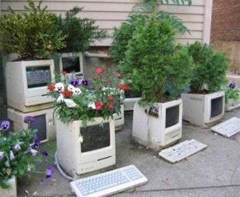 4163023_oldpcgarden_strange_weird_offbeat_crazy_fun_8990 (350x287, 21Kb)