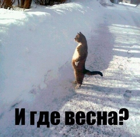 1362547423_IMG_0736 (486x478, 79Kb)