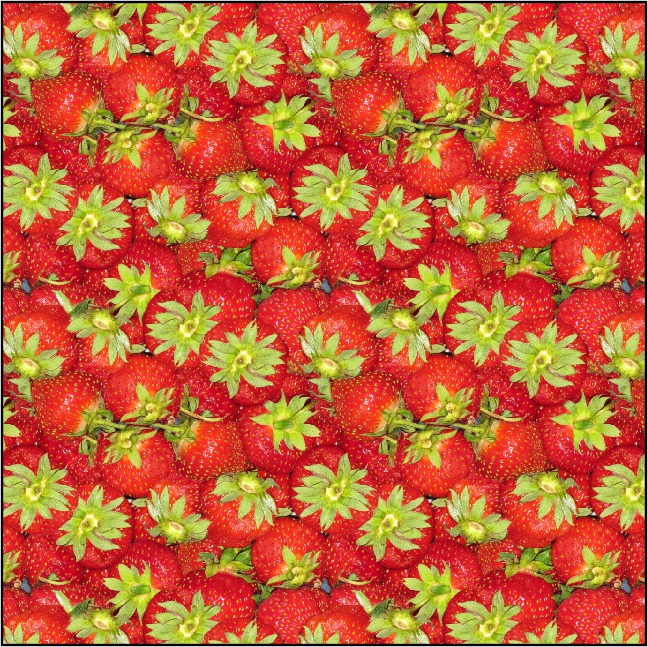   (648x647, 629Kb)