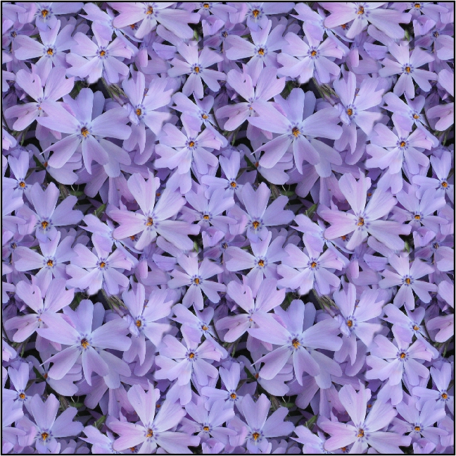   (648x647, 446Kb)