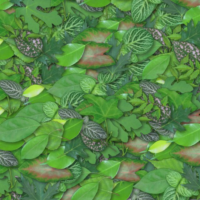     (640x640, 90Kb)