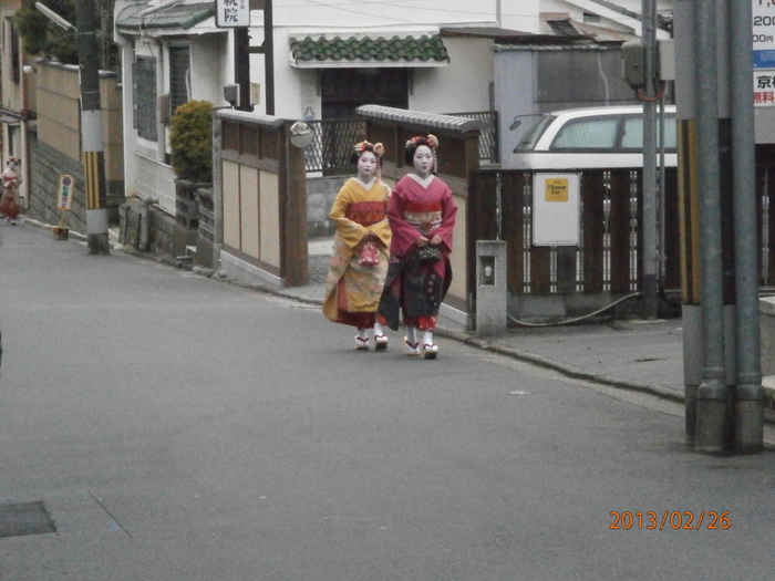 P2260202 (700x525, 246Kb)