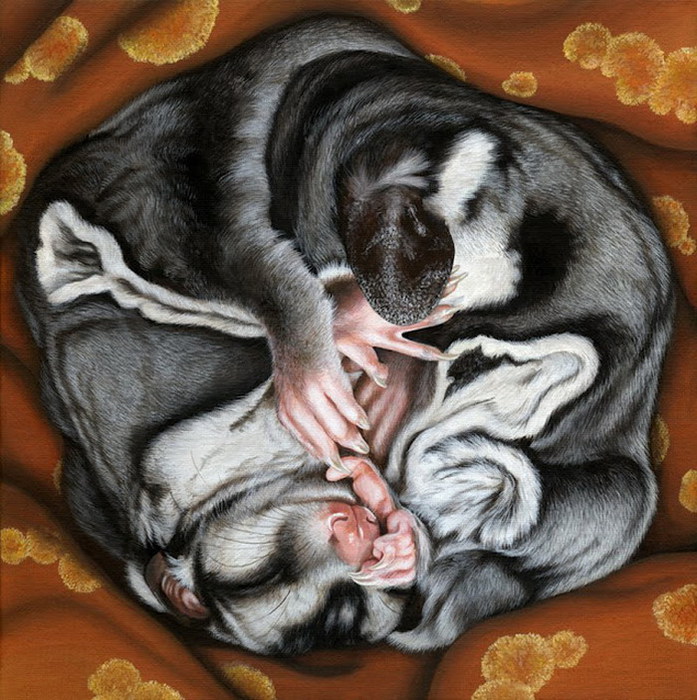 3623822_Moki_Mioke__7 (697x700, 154Kb)