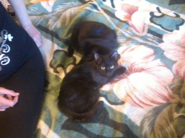 2013-03-06 14.01.27 (700x525, 356Kb)