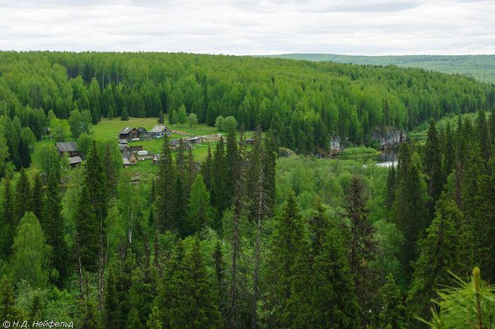 Леса коми фото