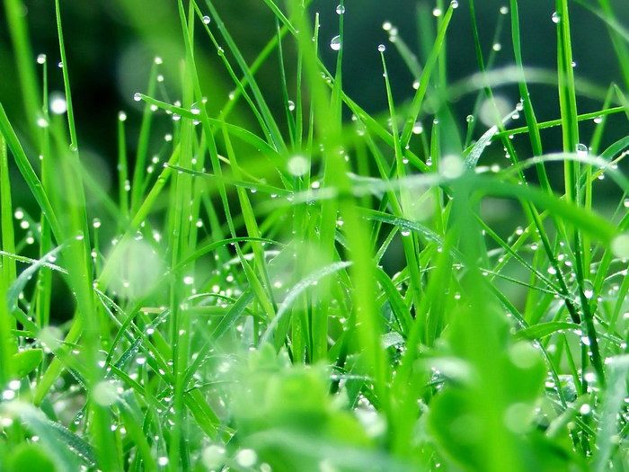 picture 4 (700x525, 82Kb)