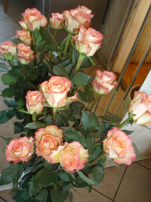P1050475 (525x700, 134Kb)