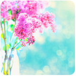 s3 (150x150, 52Kb)