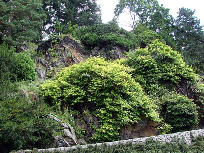29 (700x525, 701Kb)