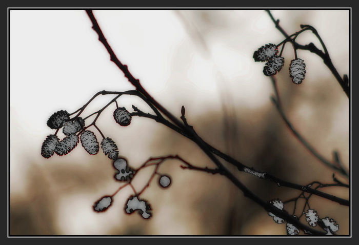 N200_XIV (700x478, 71Kb)