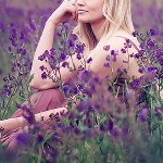  _lavender_words_bring_lavender_tears_by_stephanieschneider-d53801w (150x150, 36Kb)