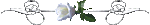4741801_0_6534e_c371ba19_S_2_ (150x25, 2Kb)