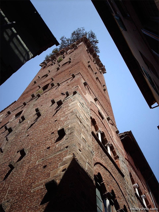 02-guinigi-tower (525x700, 302Kb)