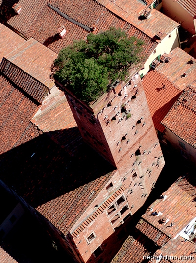 07-guinigi-tower (400x537, 262Kb)