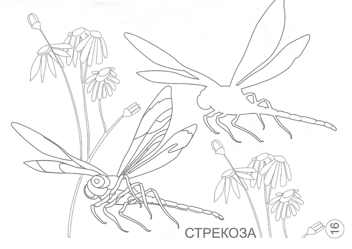 МБУ ДО ЦДП «Эдельвейс» - МБУ ДО ЦДП «Эдельвейс»