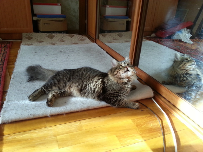 20130224_112330 (700x525, 164Kb)