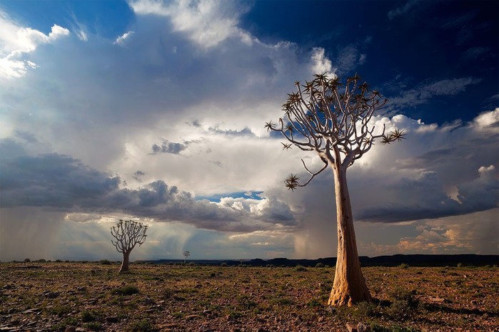 Namibia20 (700x466, 91Kb)