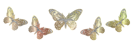 butterfly_20039 (454x144, 30Kb)