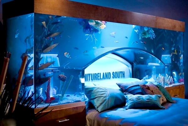 aquarium_bedroom_03 (600x401, 186Kb)