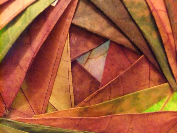 DSCF8430 (700x525, 120Kb)