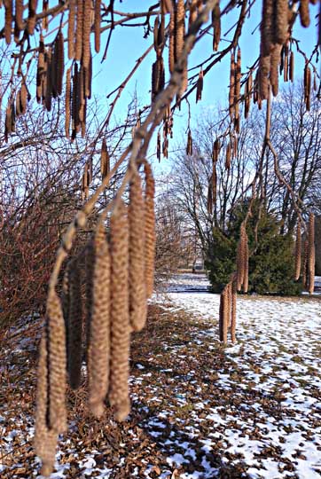 P3130129 (362x540, 96Kb)