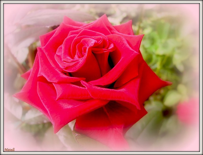 4686903_0_7c557_b296d62b_1XL (700x532, 70Kb)