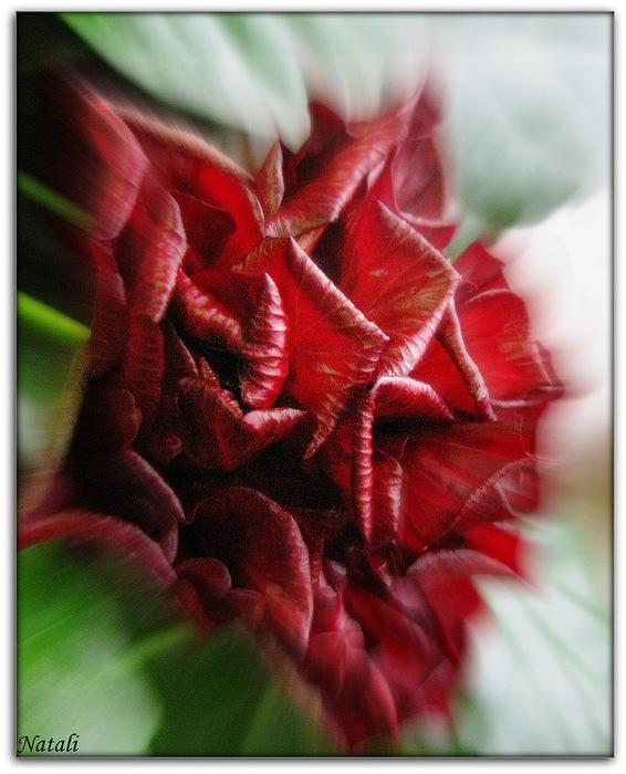 4686903_0_82e42_bb9cdf75_XL (566x700, 107Kb)