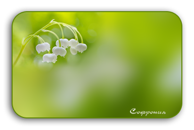 - (400x269, 87Kb)