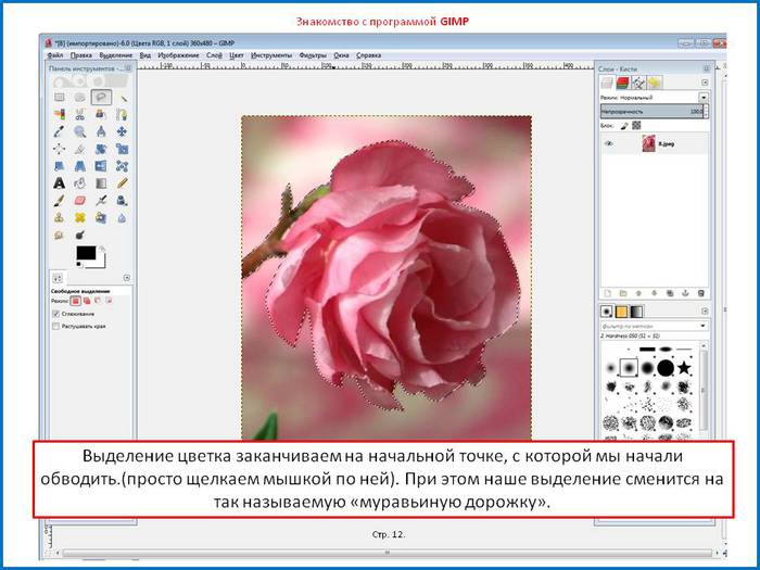   (700x525, 54Kb)