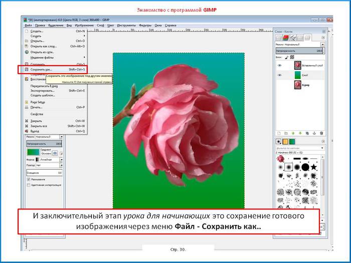   (700x525, 52Kb)