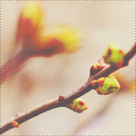 ilp (150x150, 44Kb)