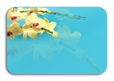 - (400x283, 97Kb)