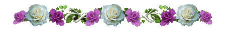 7dbd4578d2204116a368b3a3656fb417 (450x60, 18Kb)