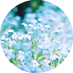 6 (150x150, 53Kb)