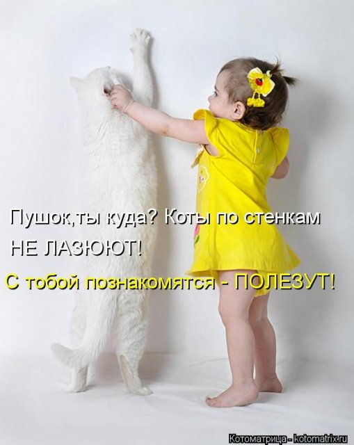 http://img0.liveinternet.ru/images/attach/c/7/98/542/98542478_large_ae68a9878448bcbdce584adffbbdfac7.jpg