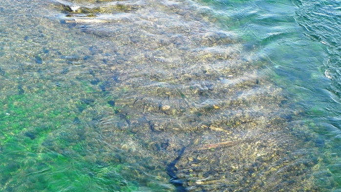 DSCN8841 (700x393, 271Kb)