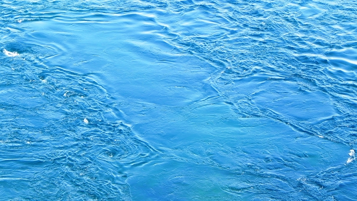 DSCN8843 (700x393, 275Kb)