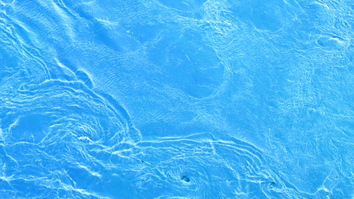 DSCN8845 (700x393, 256Kb)